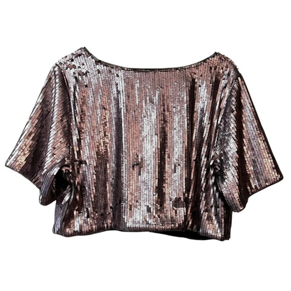 Ashley Nell Tipton Women's Crop Top Blouse Pink Pewter Sequin S/S Plus Size 1X - Picture 6 of 12